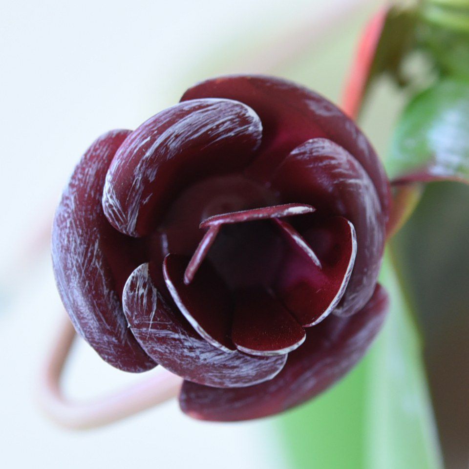 ヨーロピアン ガーデニング オブジェ ミニ ごきげんな少女 画像11