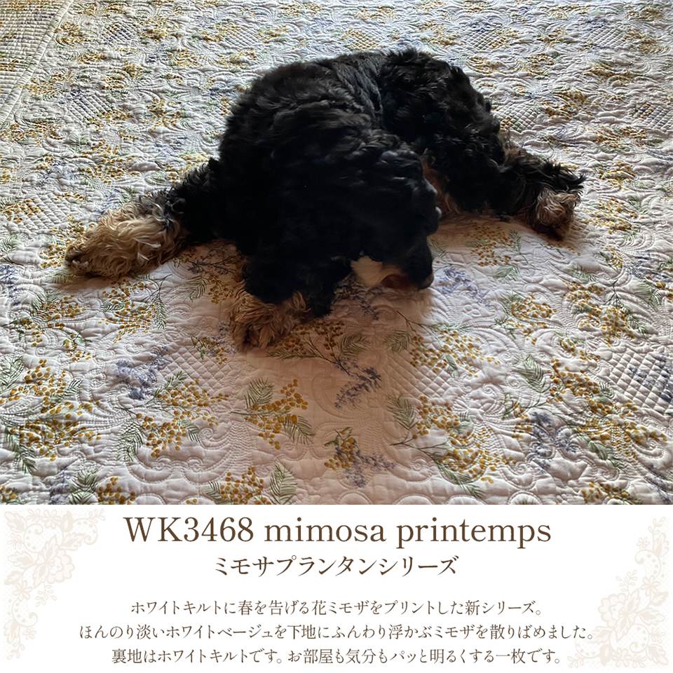 WKミモサプランタンシリーズイメージ画像